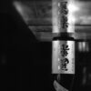 宮泉銘醸「寫樂」純米吟醸酒未来抽選販売のお知らせ