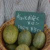 西会津Dana Village農場産の無農薬野菜販売会